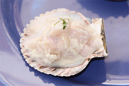 Coquille St Jacques façon ceviche Coquille St Jacques façon ceviche