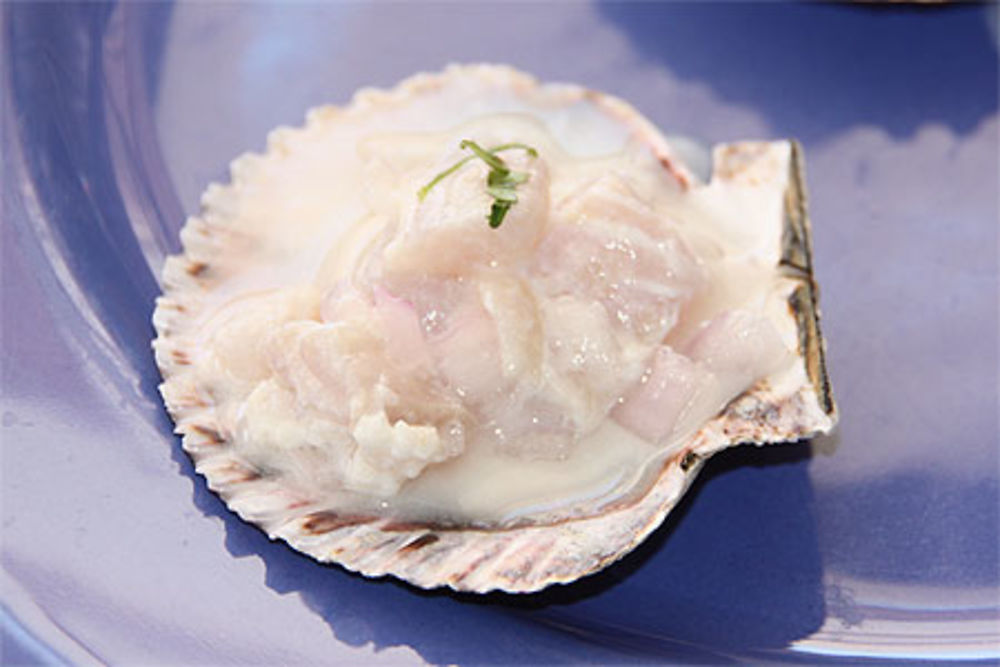 Coquille St Jacques façon ceviche