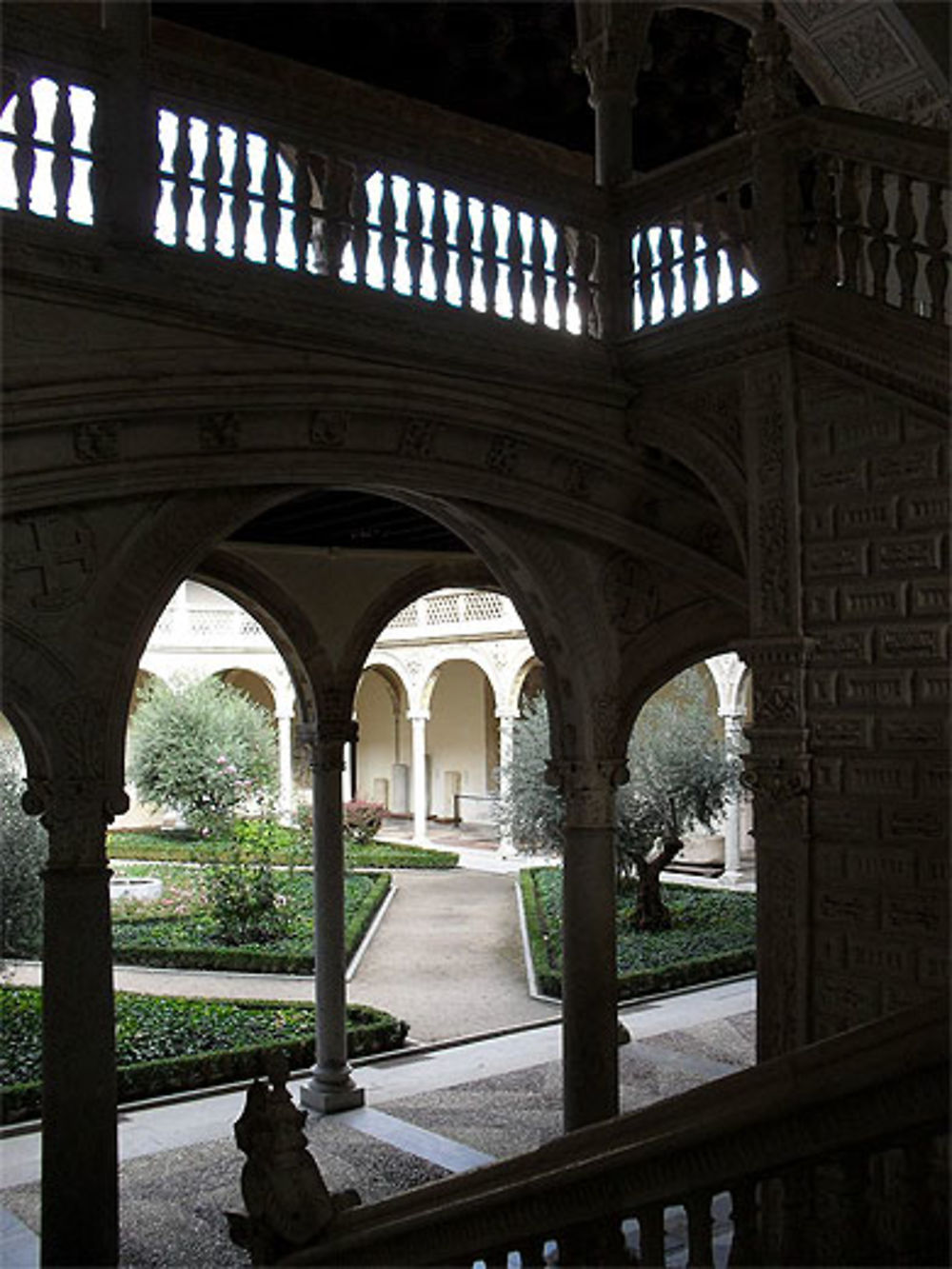 Museo de Santa Cruz : le cloître