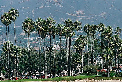 Santa Barbara