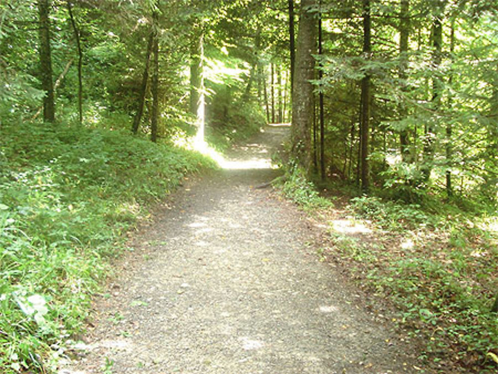 Sentier vers les grottes d'enfer - Baar