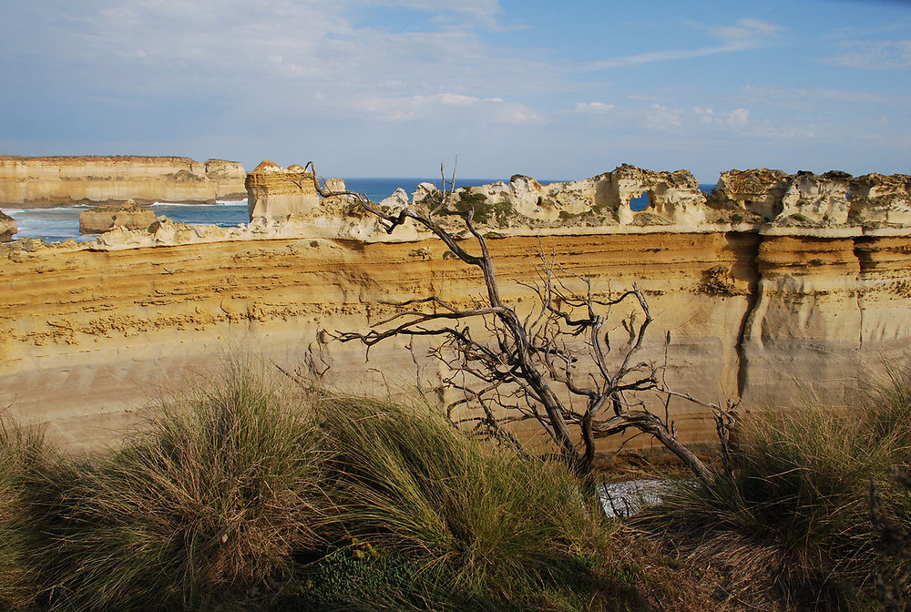 Falaises de Port Campbell National park