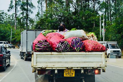 Route haute en couleurs au Sri Lanka