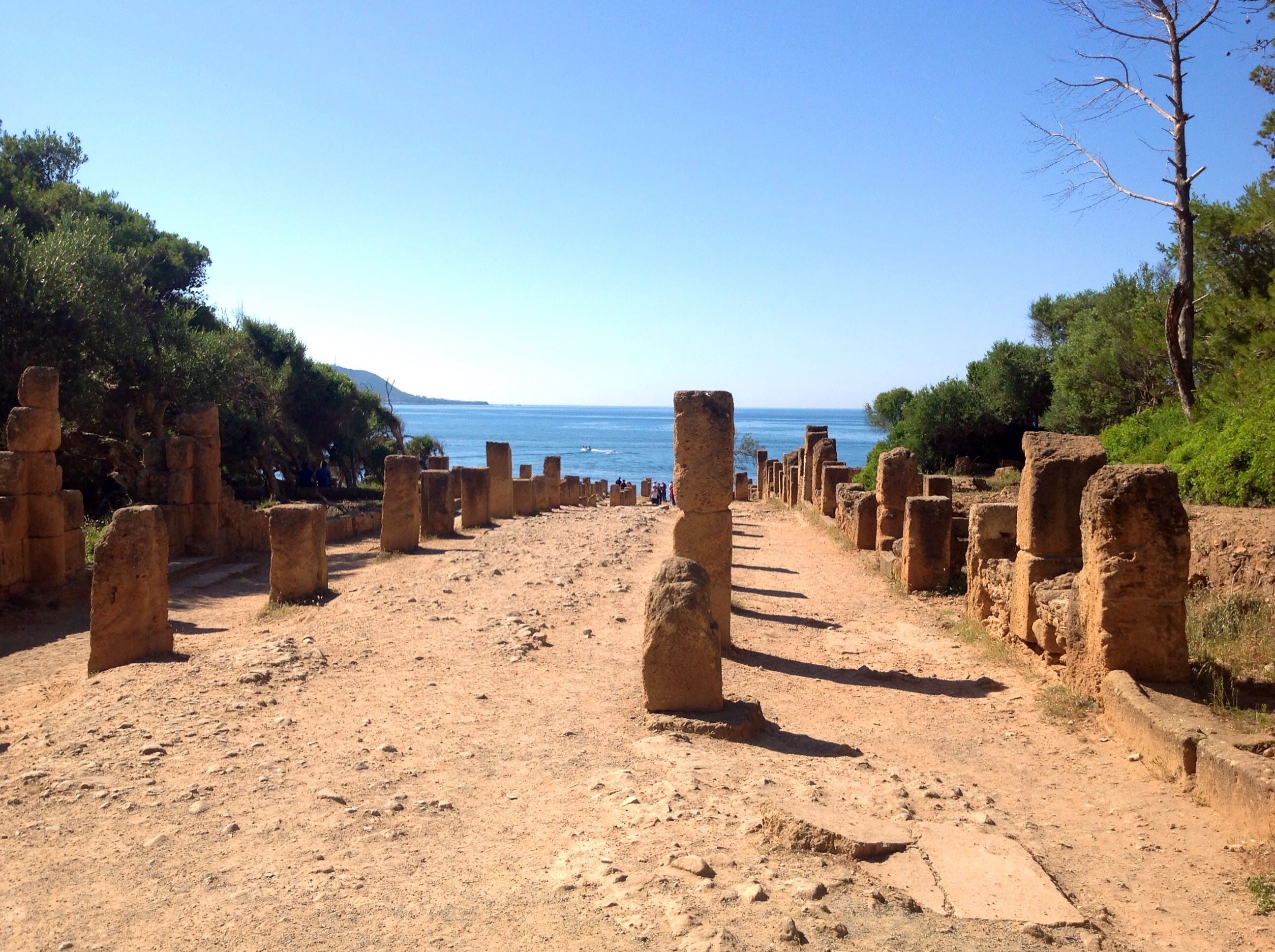 Ruines Romaines à Tipaza : Tipaza : Côte Algérienne : Algérie : Routard.com