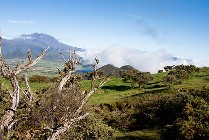 Le col du nez de boeuf à la Réunion