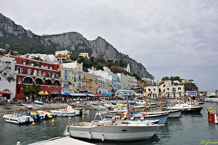 Le port de Capri