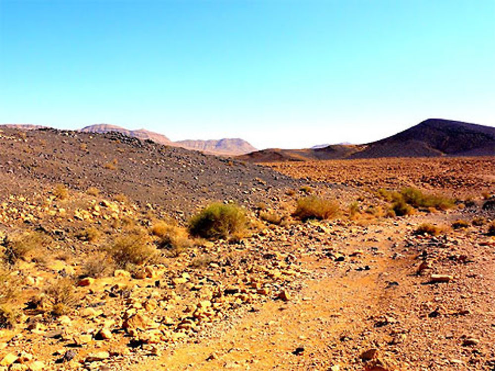 Mitzpe ramon canyon