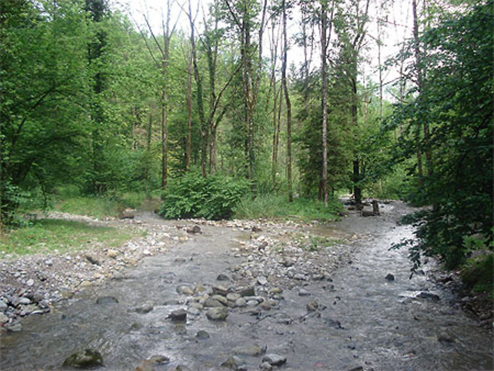 Sentier vers les grottes d'enfer - Baar