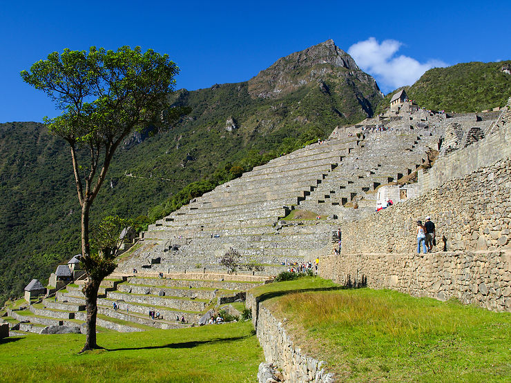 Les Incas : Machu Picchu (Pérou)