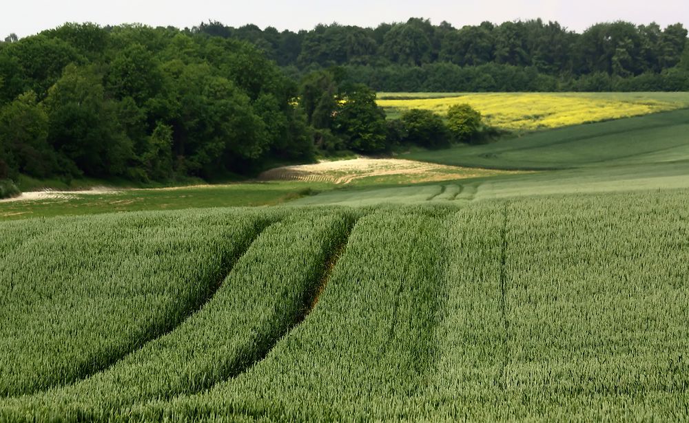 Péronne et ses environs