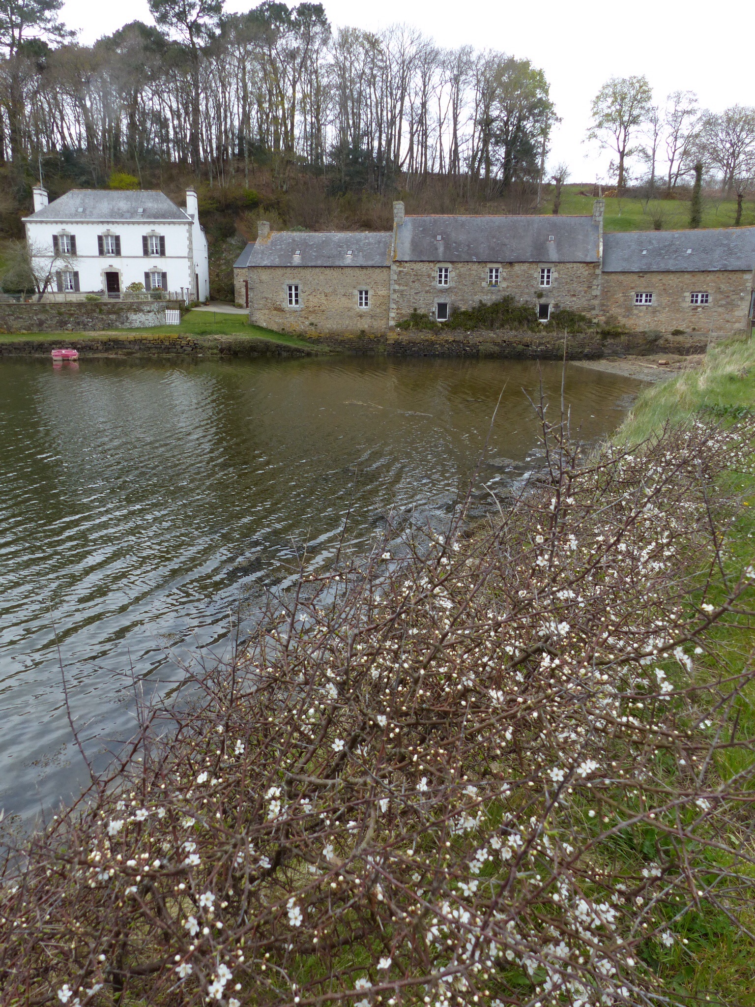 Fermette sur étang 