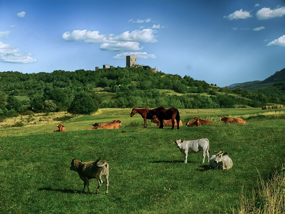 Chateau de Puivert, Aude