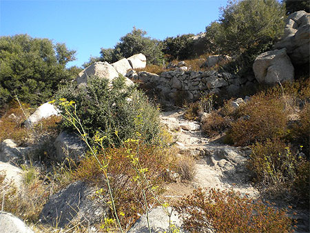 Sur le sentier montant vers Occi Sur le sentier montant vers Occi