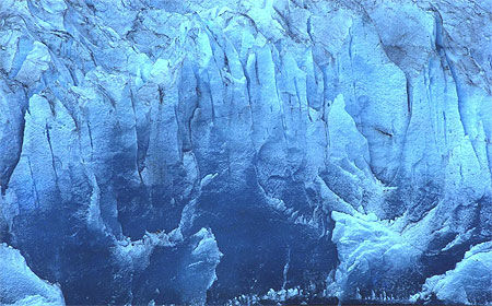 Juneau glacier Mendenhall