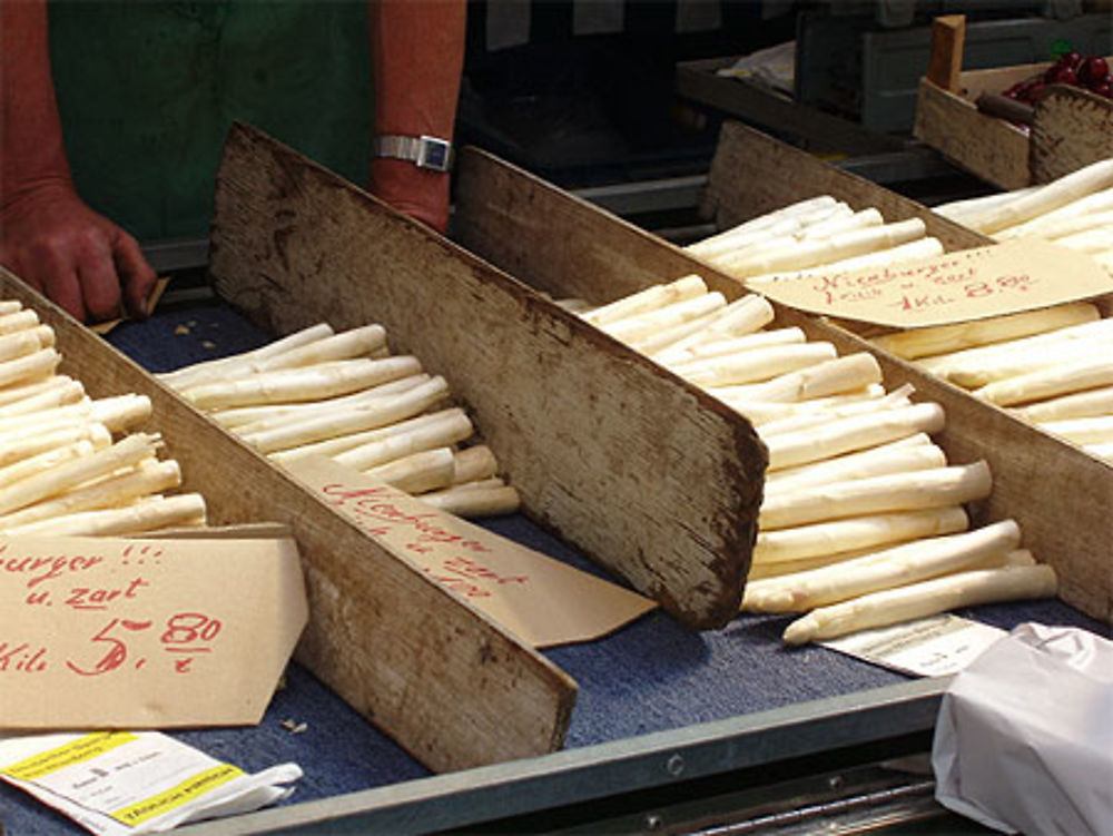 Asperges fraîches