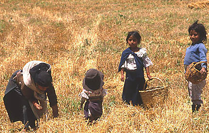 Les glaneurs d'Otavalo