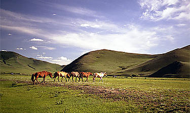 Vallée de l'Orkhon