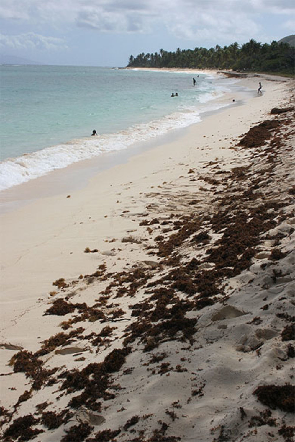 Plage de la Feuillère