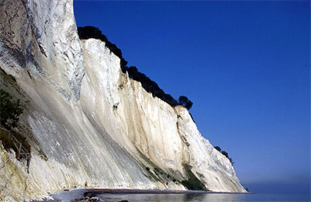 Falaise de craie dans l'île de Mon