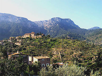 Terrasses au pied de la Serra de Tramuntana