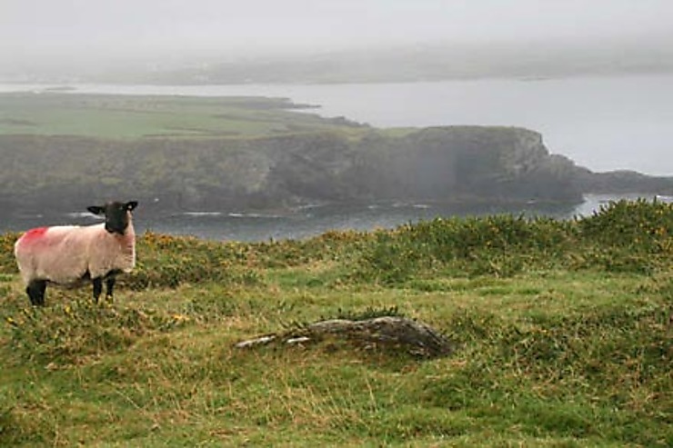Ring of Kerry : rêve et brouillard