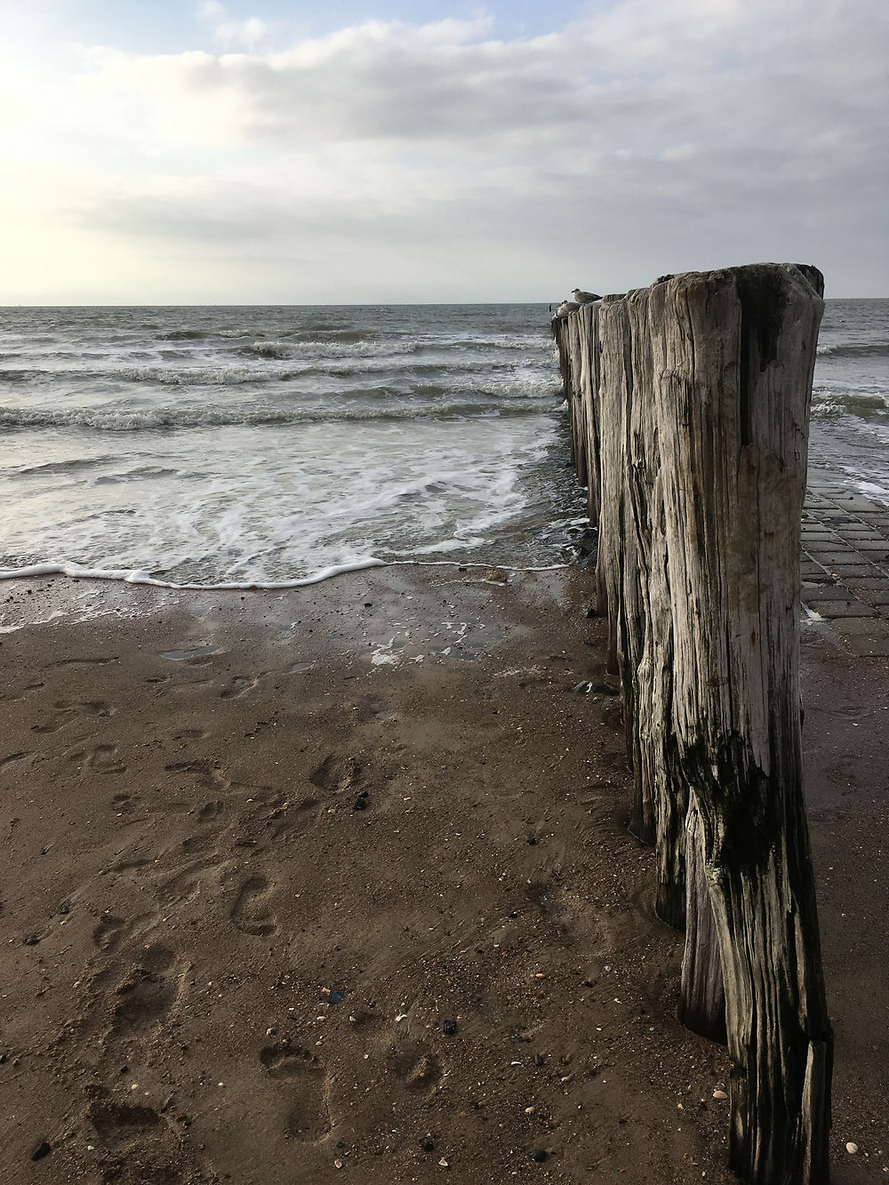 Plage de Cadzand 