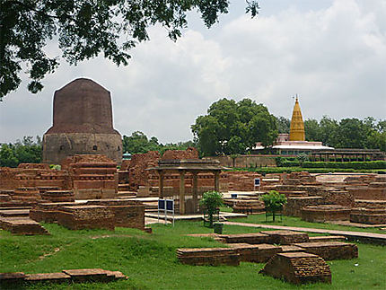 Le Site de Sarnath