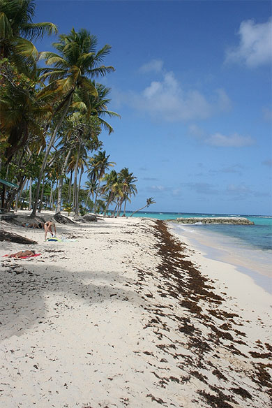 La plage de la Feuillère La plage de la Feuillère