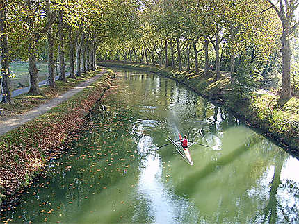 En aviron sur le Canal du Midi