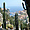 Jardin exotique Monaco