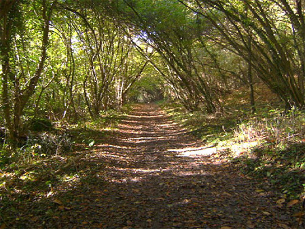 Chemin de randonnée à Villebourg