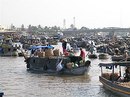 Marché flottant à Cantho : le grand bazar organisé