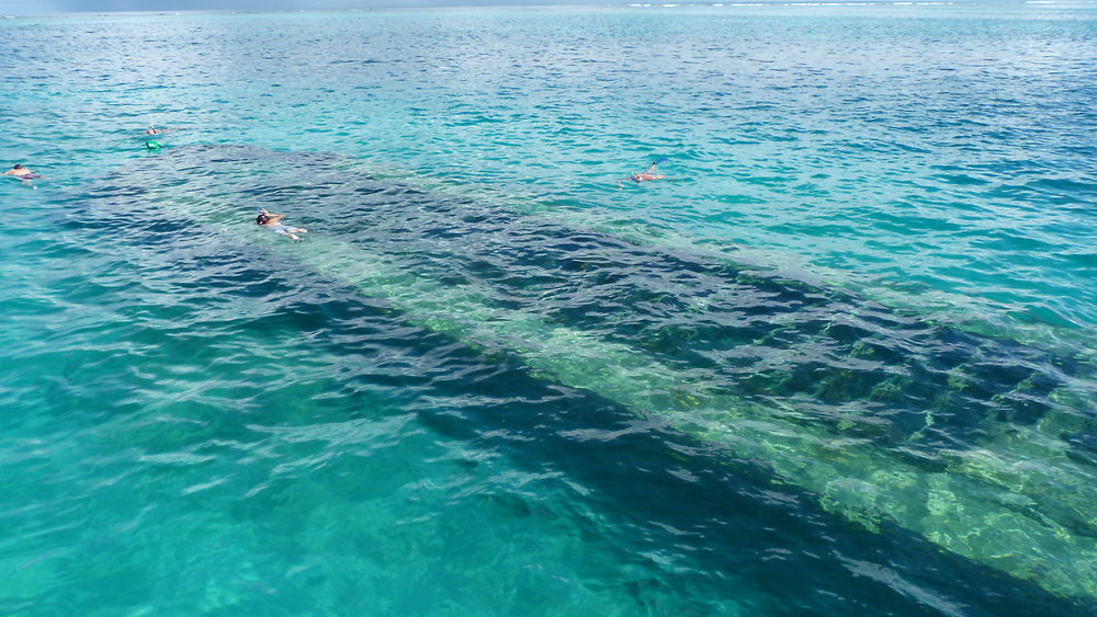 Snorkeling au dessus d'une épave