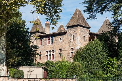 Le petit château de l'Ile Barbe à Lyon