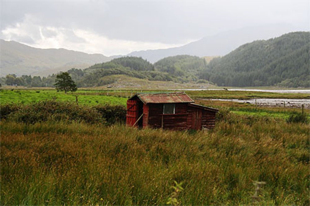 Glen Mor