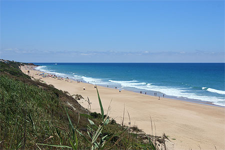 Conil de la Frontera- Costa de la Luz