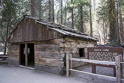 Gamlin cabin
