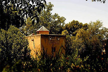 Tour des jardins de l'Alhambra