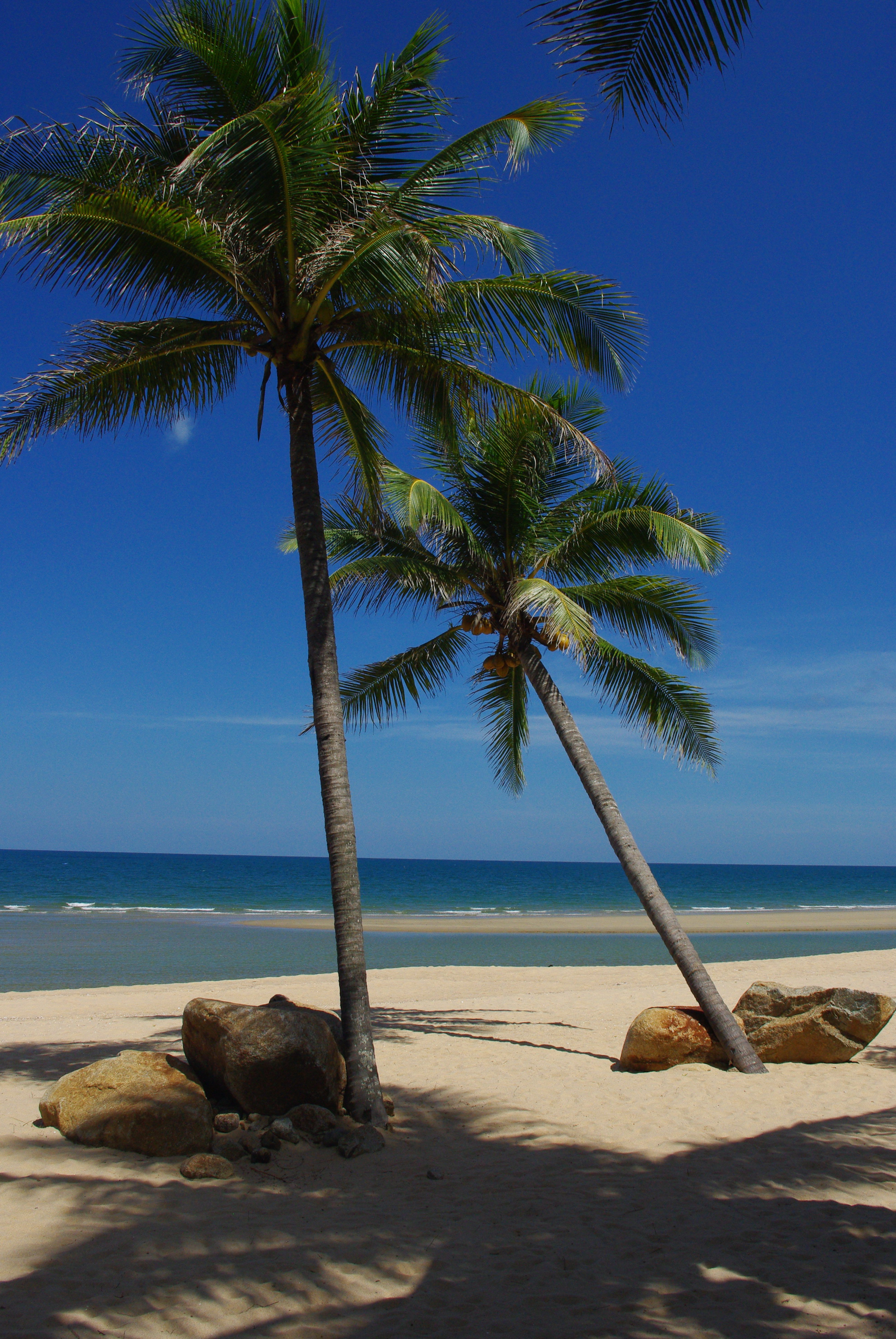 Le rêve, sable blanc et cocotiers Le rêve, sable blanc et cocotiers