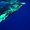 Bébé baleine à bosse