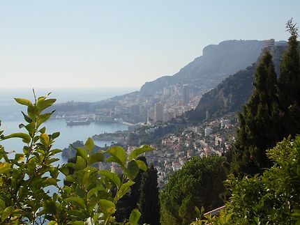 Vue sur Monaco depuis Roquebrune