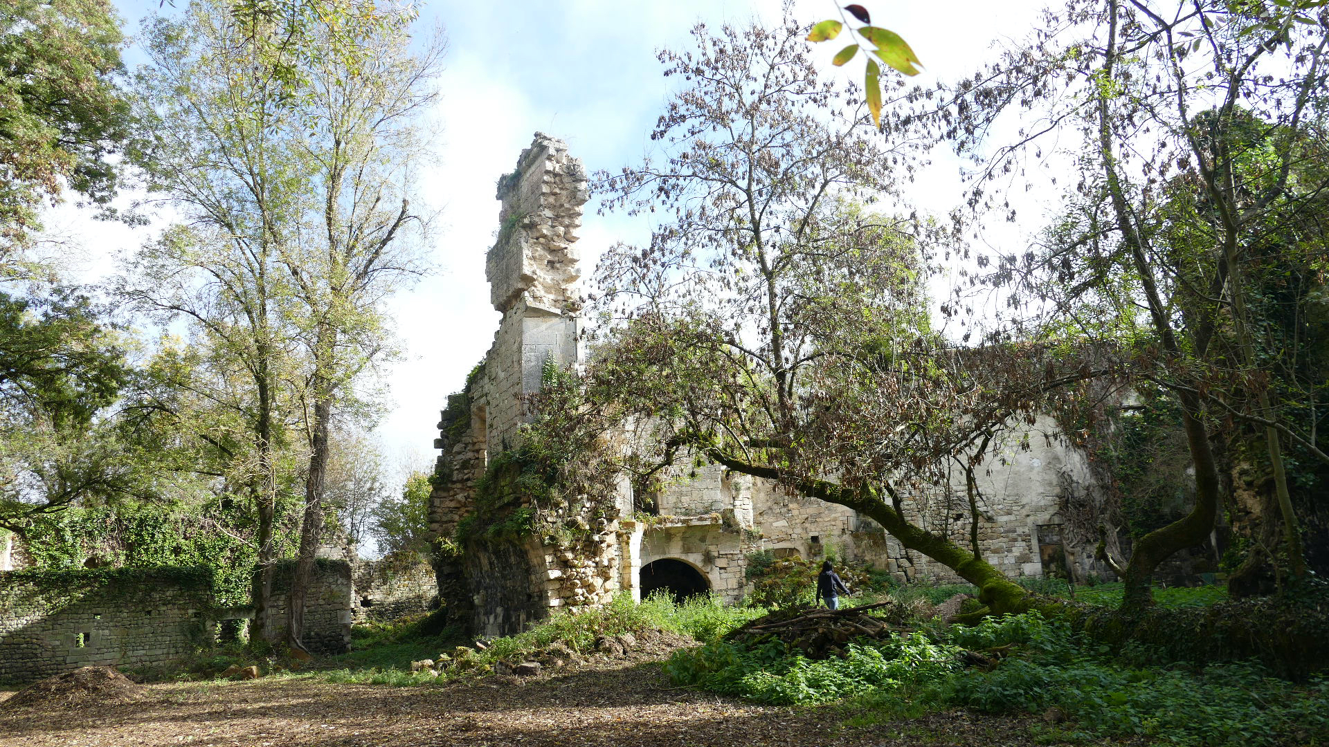 Ruine du château de Vibrac