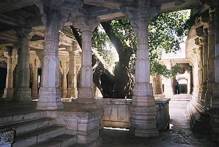 Temple Jaïn