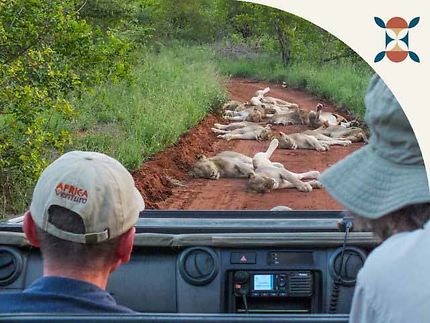 Vivez l'Afrique du Sud autrement