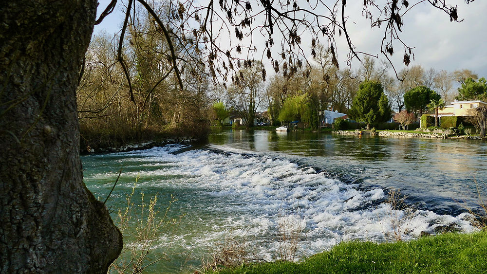 Vibrac, la Charente