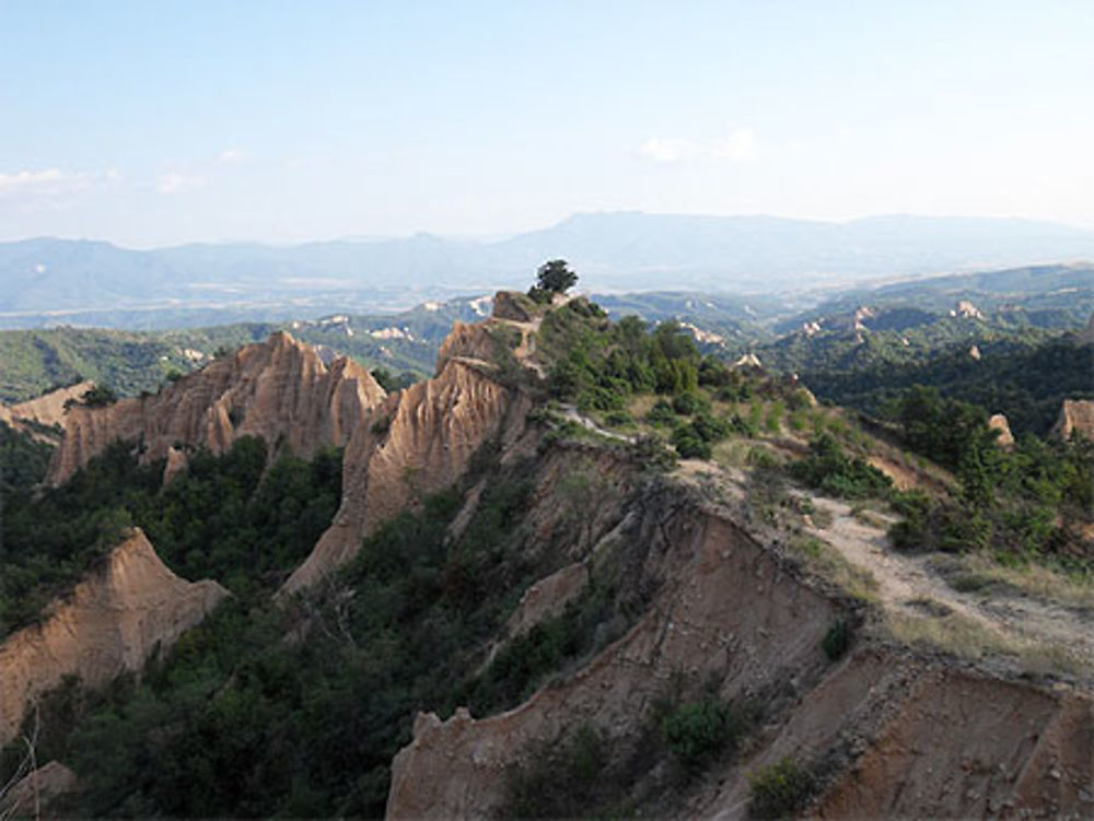 Entre Melnik et le monastère de Rojen