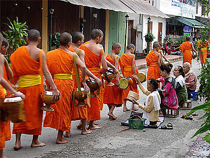 Aumône des moines à Luang Prabang