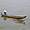 Pêcheur sur le Mékong