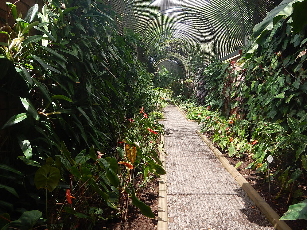 Jardin d'acclimatation