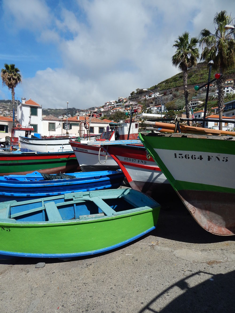 Couleurs du port de Camara de Lobos